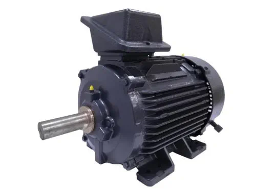 IEC Motor